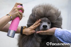 thumbimg