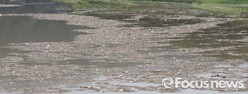 thumbimg